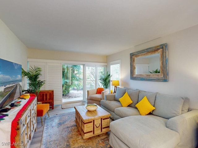 living room featuring hardwood / wood-style flooring