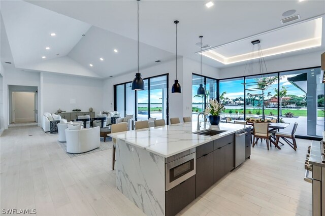 kitchen with light hardwood / wood-style flooring, stainless steel appliances, light stone countertops, a spacious island, and sink