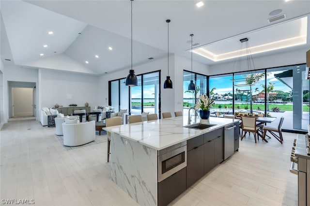 kitchen featuring sink, light hardwood / wood-style flooring, stainless steel appliances, a spacious island, and a raised ceiling