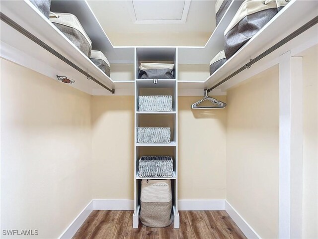 spacious closet featuring wood-type flooring