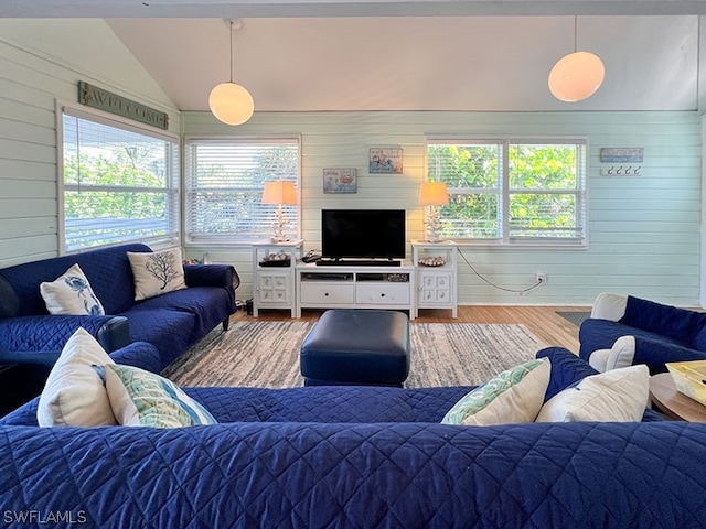 living room with wood-type flooring and vaulted ceiling