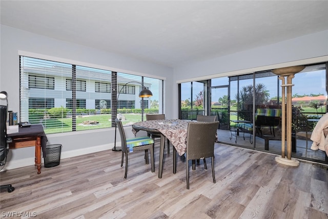 dining room featuring light hardwood / wood-style floors