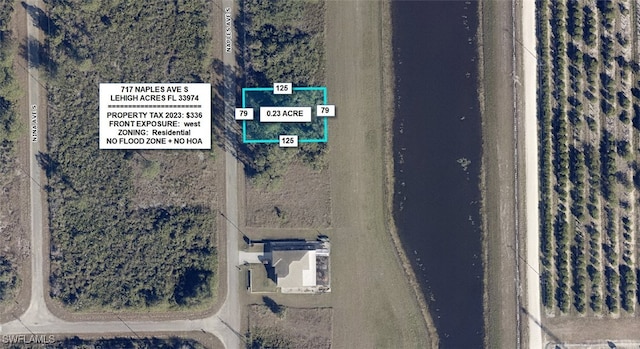 717 Naples Ave S, Lehigh Acres FL, 33974 land for sale