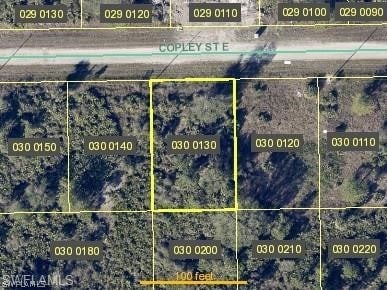 1142 Copley St E, Lehigh Acres FL, 33974 land for sale