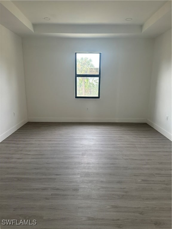 empty room with hardwood / wood-style flooring and a raised ceiling