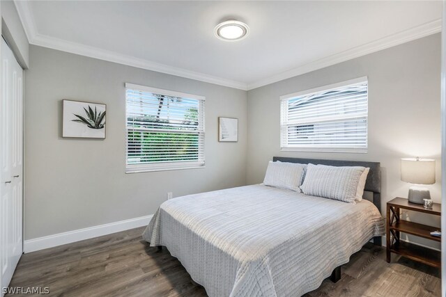 bedroom featuring wood-type flooring, multiple windows, and a closet