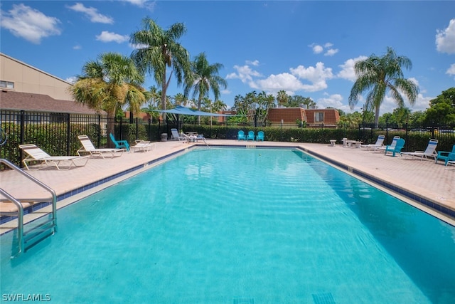 view of swimming pool with a patio