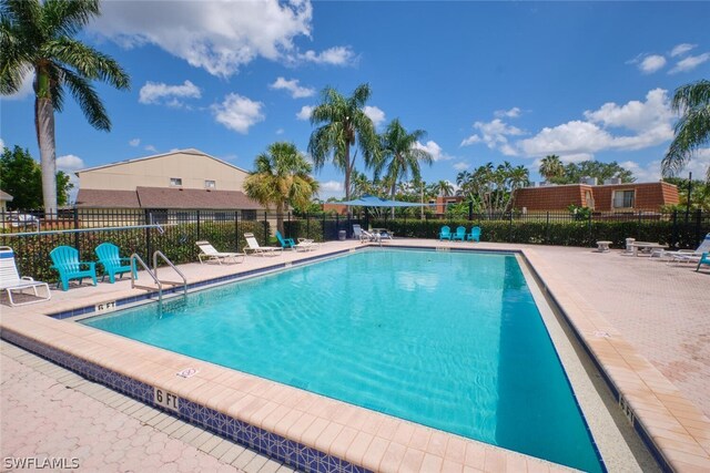 view of pool featuring a patio