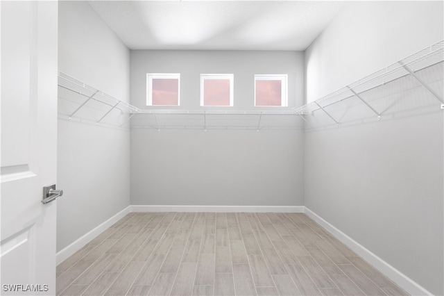 spacious closet with light hardwood / wood-style flooring