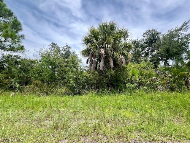 3302 Stone St, Port Charlotte FL, 33981 land for sale