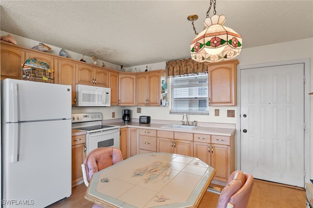 kitchen featuring a sink, white appliances, a textured ceiling, and light wood finished floors