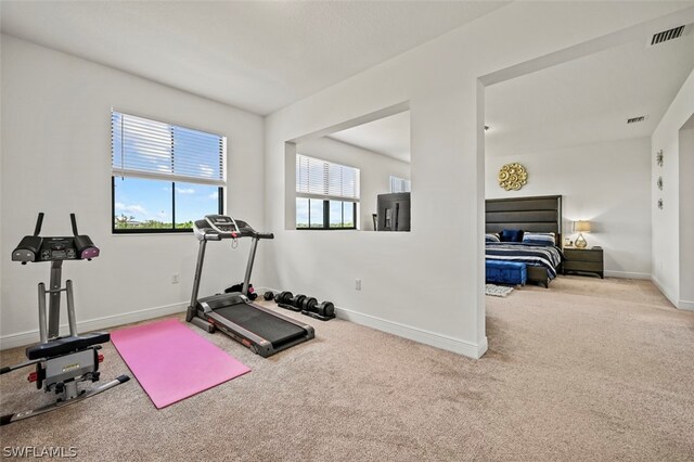 workout room with light carpet