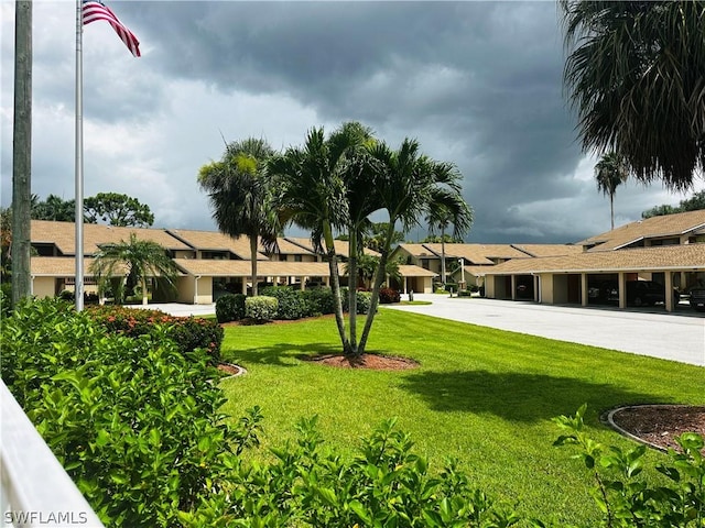 view of yard featuring a carport