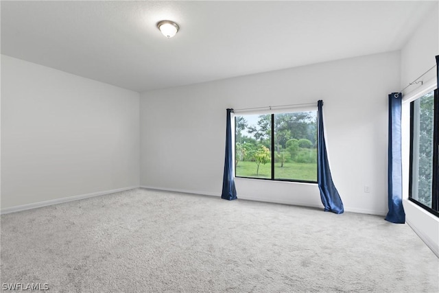 spare room with carpet