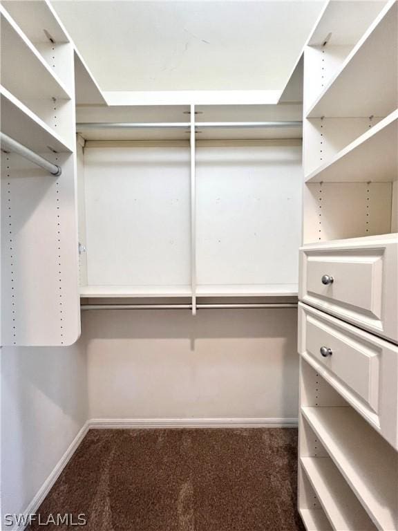 walk in closet featuring carpet