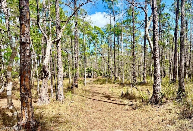 view of nature with a wooded view