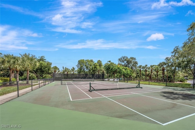900 Arbor Lake Dr Unit 206, Naples, FL 34110 - view of tennis court