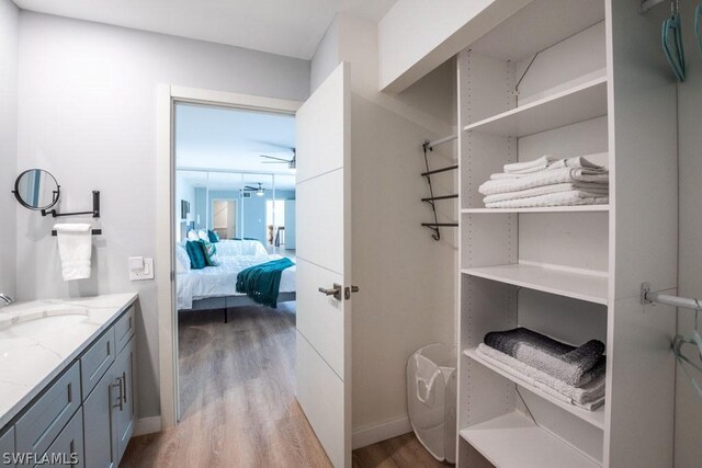 bathroom with hardwood / wood-style floors and vanity