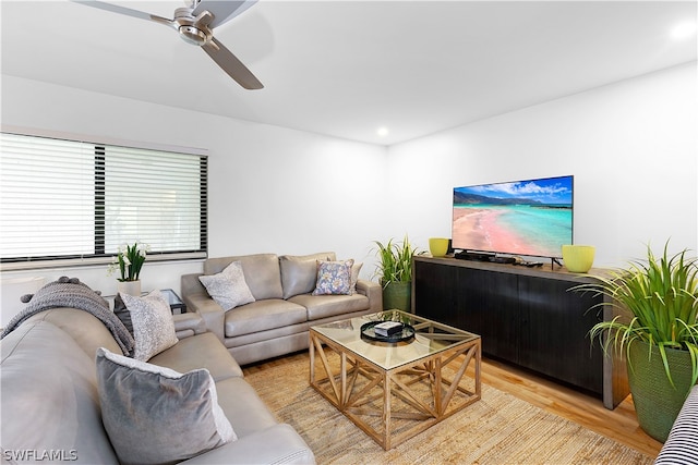 living room featuring ceiling fan and light wood-type flooring