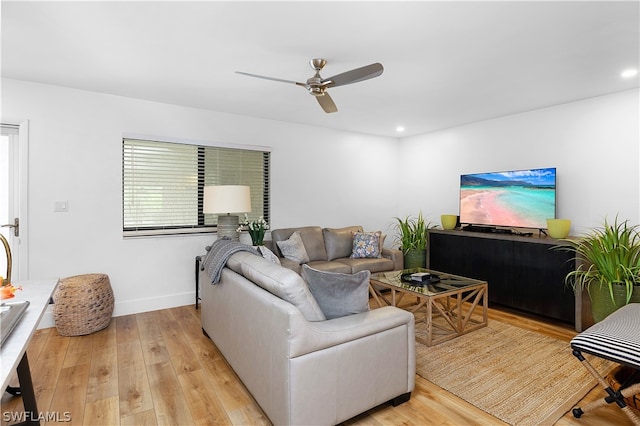 living room featuring ceiling fan and light hardwood / wood-style flooring