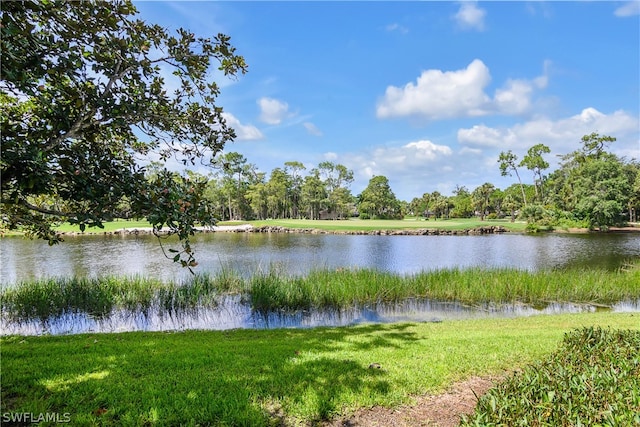 property view of water