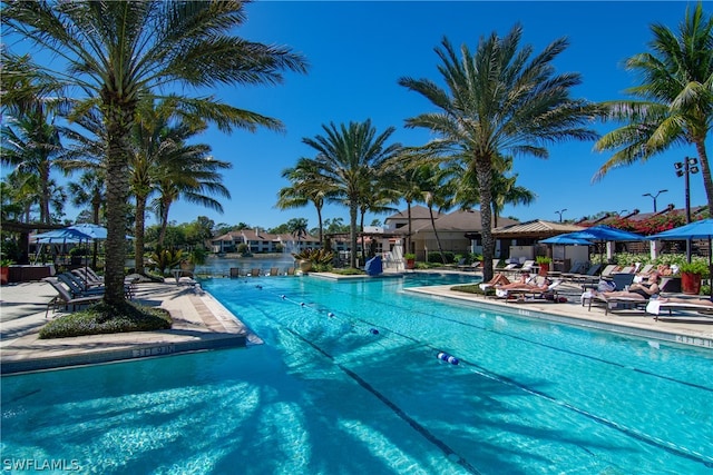 view of swimming pool