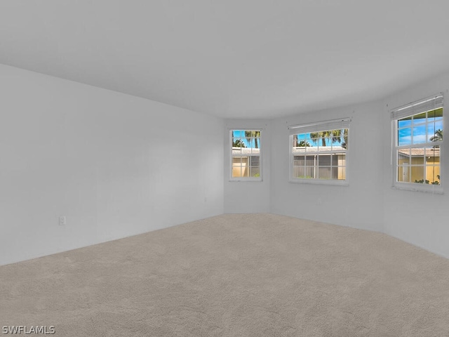 carpeted empty room featuring a wealth of natural light