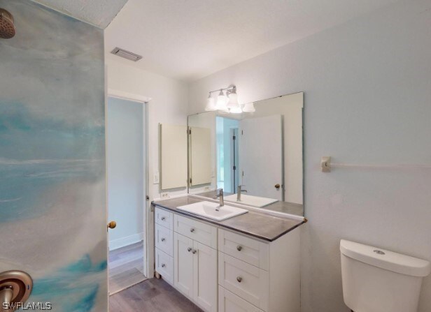 bathroom featuring vanity, toilet, and wood-type flooring