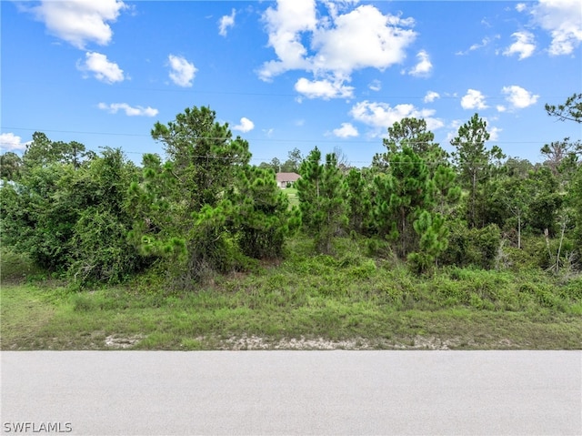 1143 Columbo Ave, Lehigh Acres FL, 33974 land for sale