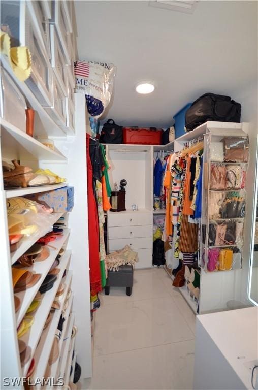 view of spacious closet