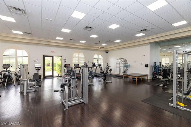 gym featuring ornamental molding, dark wood-type flooring, and a drop ceiling