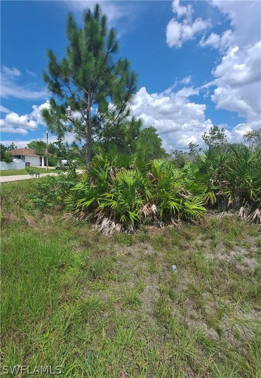 2919 30th St W, Lehigh Acres FL, 33971 land for sale