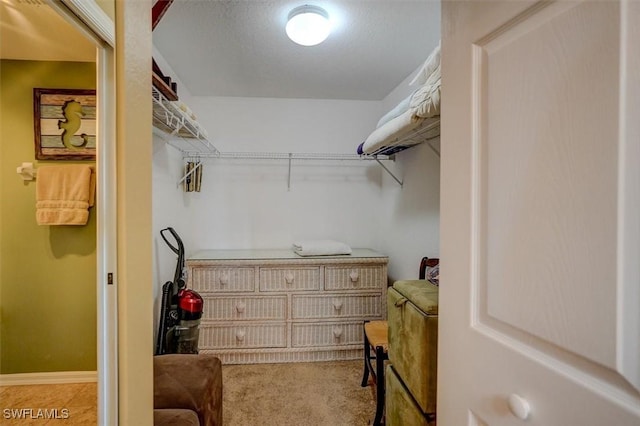 walk in closet with light colored carpet