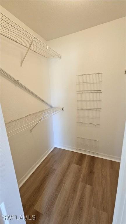 walk in closet featuring dark hardwood / wood-style floors