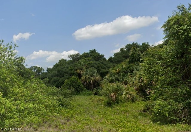 Jabara Ln, Labelle FL, 33935 land for sale