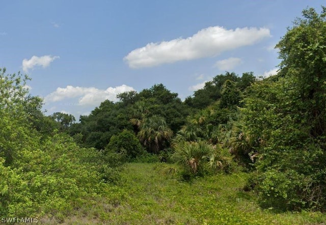 Jabara Ln, Labelle, FL 33935