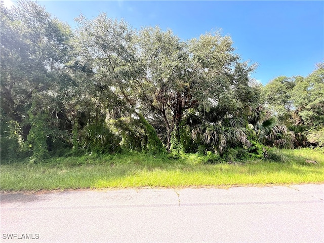 19136 Ruskin Ave, Port Charlotte FL, 33954 land for sale