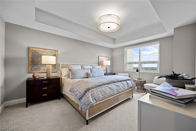 carpeted bedroom with a raised ceiling