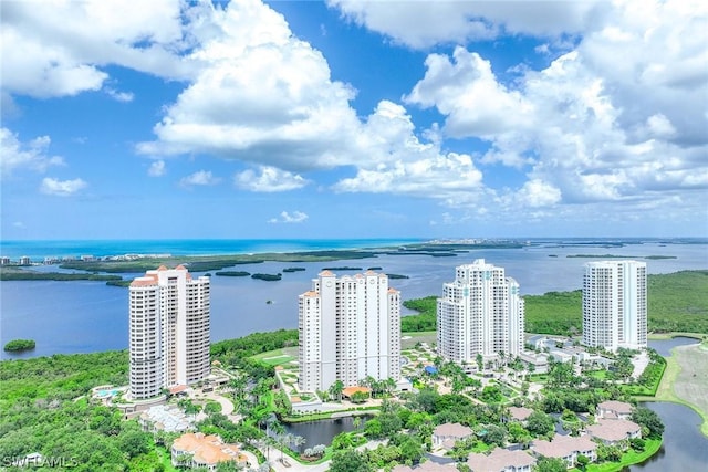 bird's eye view featuring a water view