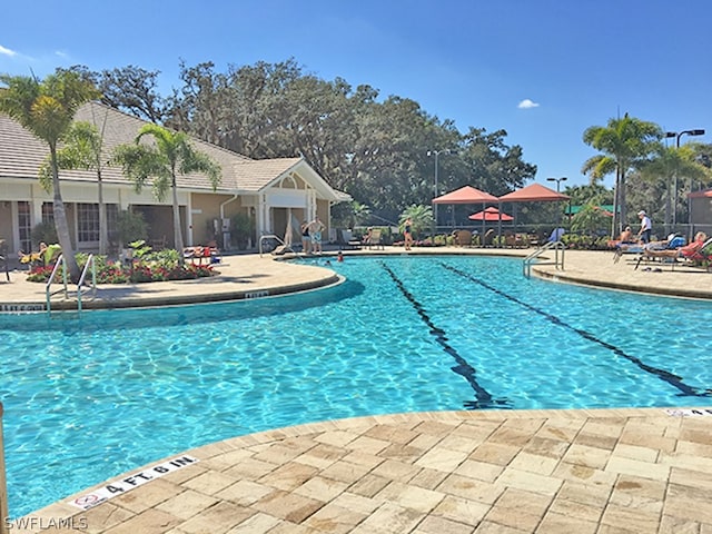 view of swimming pool featuring a patio area