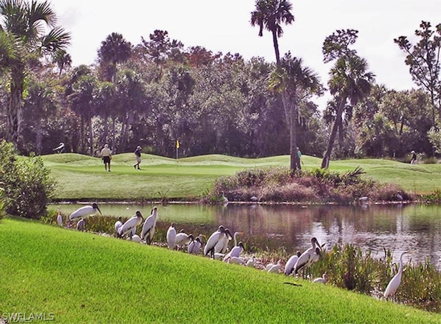 view of property's community with a water view and a lawn