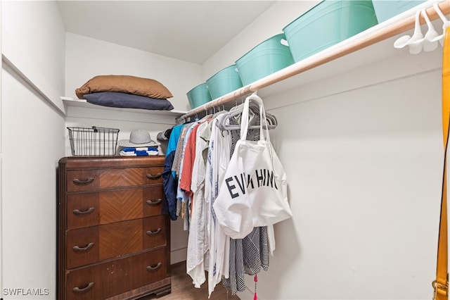 spacious closet with hardwood / wood-style flooring