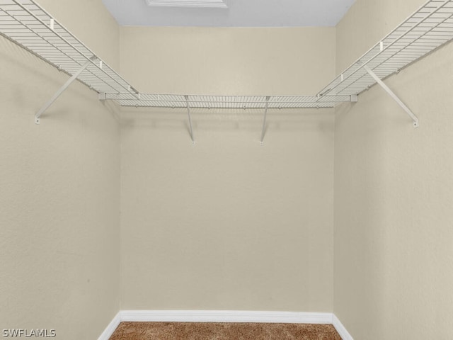 spacious closet with carpet