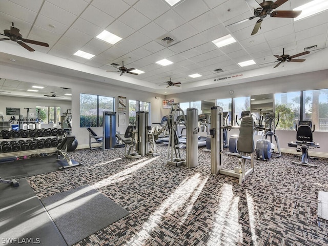 gym featuring carpet flooring and a drop ceiling