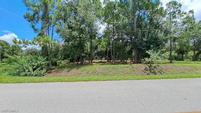 385 N Mayoral St, Clewiston FL, 33440 land for sale