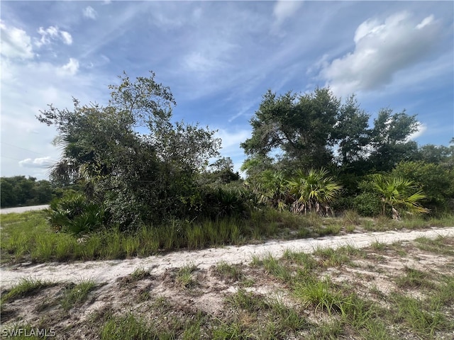 4183 E 27th St, Alva FL, 33920 land for sale