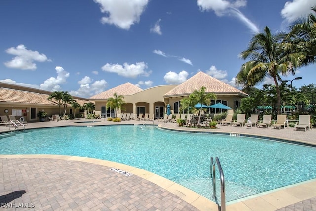 view of pool with a patio area