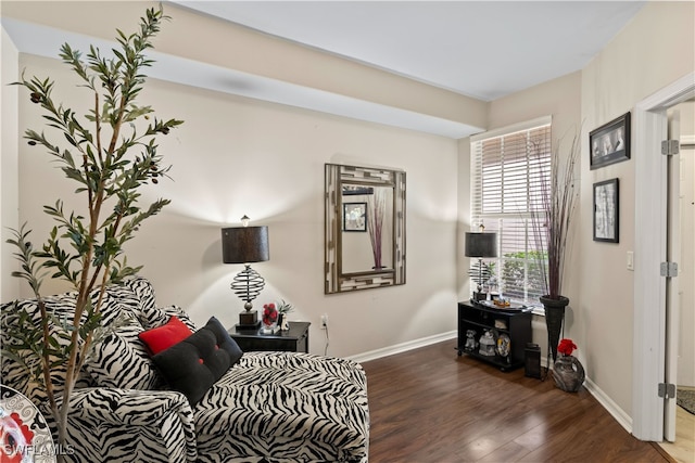 bedroom with dark hardwood / wood-style flooring