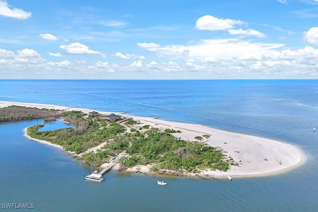 aerial view with a water view and a view of the beach