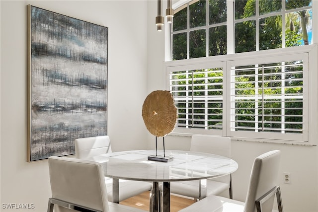 dining space featuring hardwood / wood-style flooring